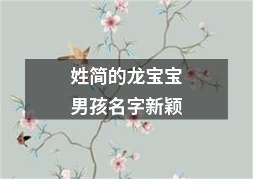 姓简的龙宝宝男孩名字新颖