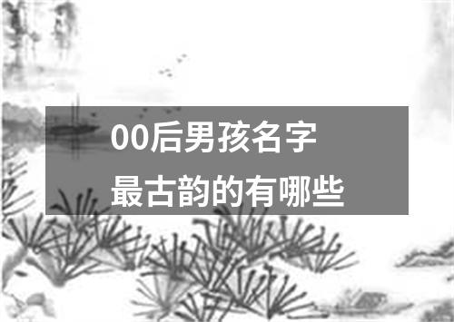 00后男孩名字最古韵的有哪些