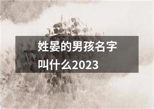 姓晏的男孩名字叫什么2023