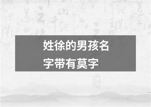 姓徐的男孩名字带有莫字