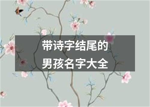 带诗字结尾的男孩名字大全