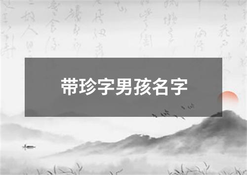 带珍字男孩名字