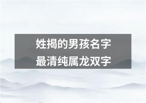 姓揭的男孩名字最清纯属龙双字