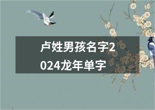 卢姓男孩名字2024龙年单字