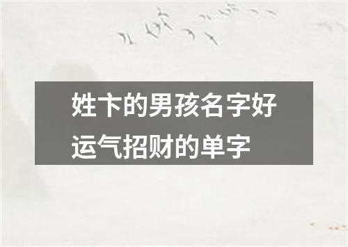 姓卞的男孩名字好运气招财的单字