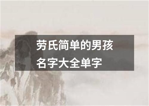 劳氏简单的男孩名字大全单字