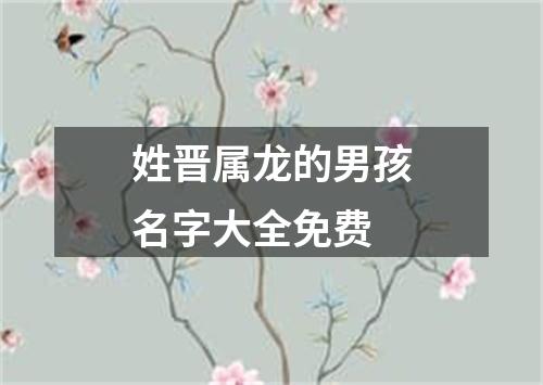 姓晋属龙的男孩名字大全免费