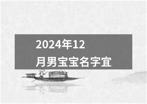 2024年12月男宝宝名字宜