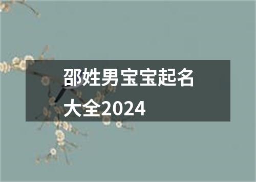 邵姓男宝宝起名大全2024