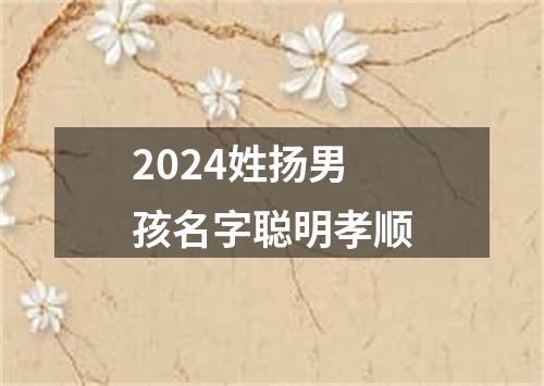 2024姓扬男孩名字聪明孝顺