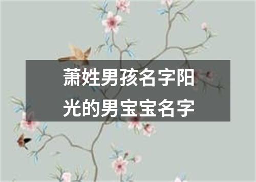 萧姓男孩名字阳光的男宝宝名字