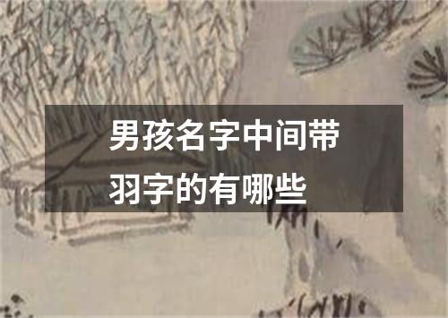 男孩名字中间带羽字的有哪些