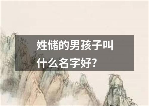 姓储的男孩子叫什么名字好?