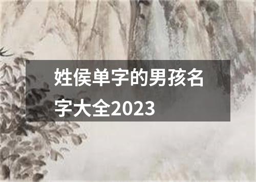 姓侯单字的男孩名字大全2023