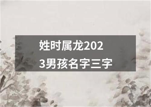 姓时属龙2023男孩名字三字