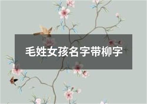 毛姓女孩名字带柳字