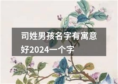 司姓男孩名字有寓意好2024一个字