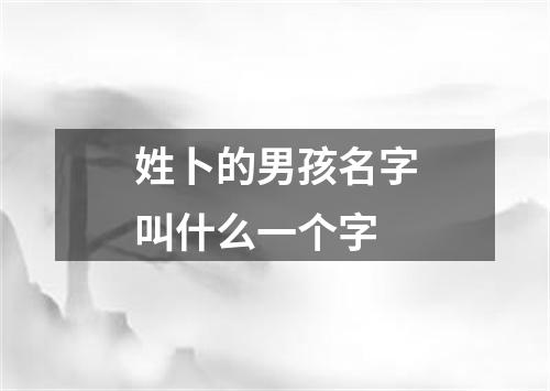 姓卜的男孩名字叫什么一个字