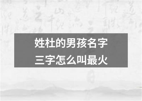 姓杜的男孩名字三字怎么叫最火