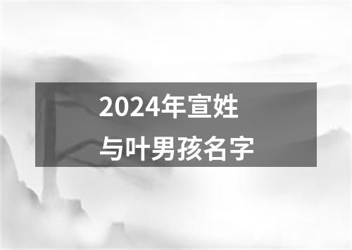 2024年宣姓与叶男孩名字