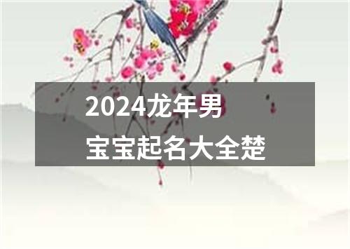 2024龙年男宝宝起名大全楚