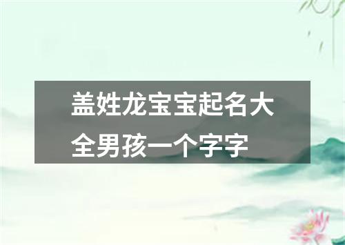 盖姓龙宝宝起名大全男孩一个字字