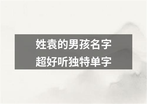 姓袁的男孩名字超好听独特单字