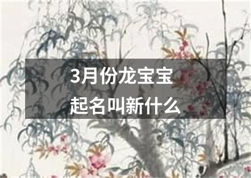 3月份龙宝宝起名叫新什么