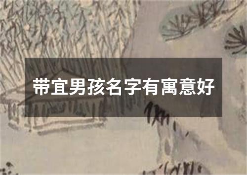 带宜男孩名字有寓意好