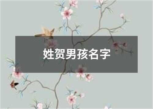 姓贺男孩名字