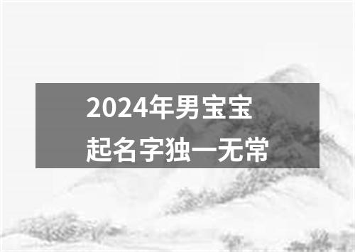 2024年男宝宝起名字独一无常