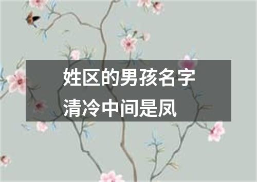 姓区的男孩名字清冷中间是凤