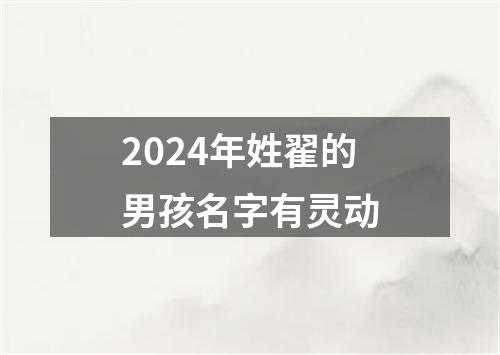 2024年姓翟的男孩名字有灵动