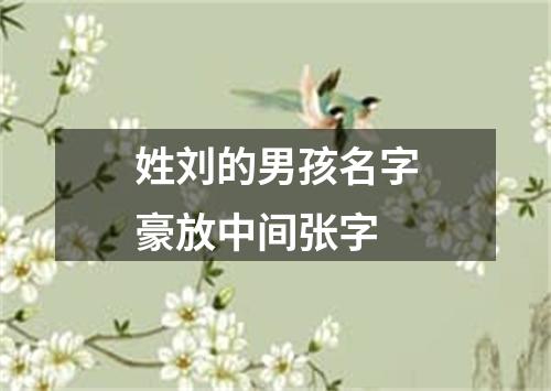 姓刘的男孩名字豪放中间张字