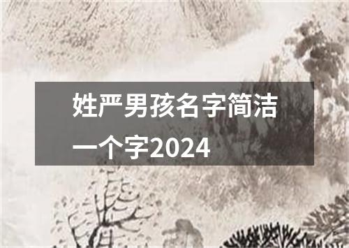 姓严男孩名字简洁一个字2024