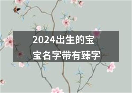 2024出生的宝宝名字带有臻字