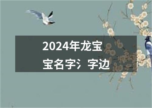 2024年龙宝宝名字氵字边