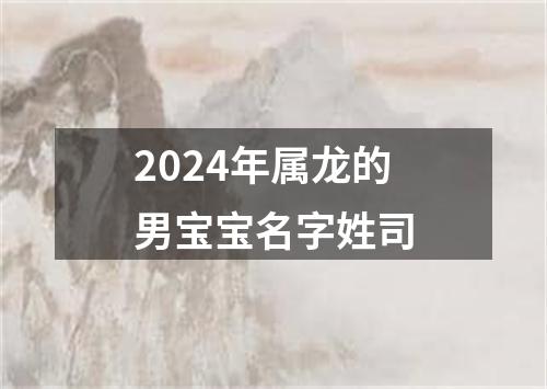 2024年属龙的男宝宝名字姓司