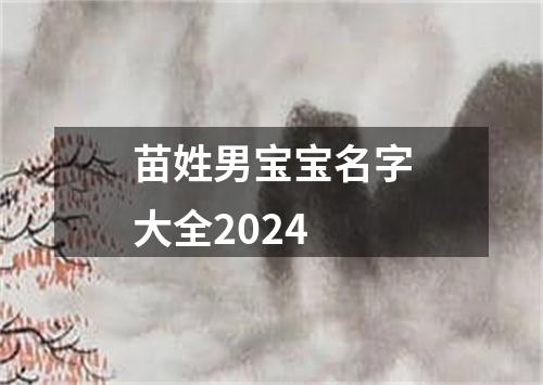 苗姓男宝宝名字大全2024