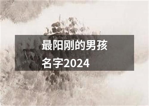 最阳刚的男孩名字2024