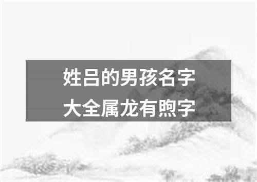 姓吕的男孩名字大全属龙有煦字