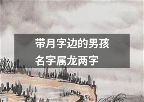 带月字边的男孩名字属龙两字