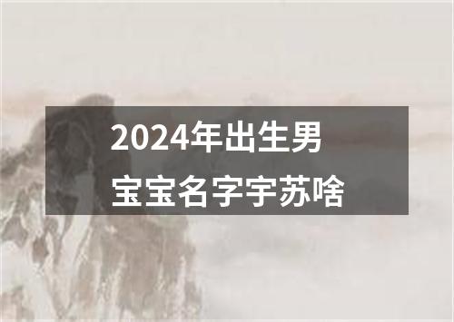 2024年出生男宝宝名字宇苏啥