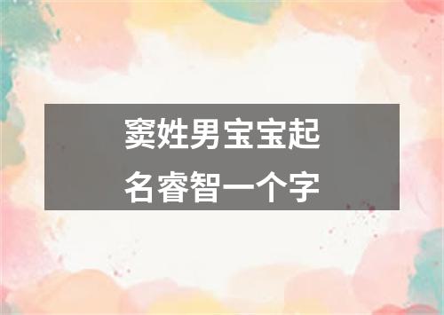 窦姓男宝宝起名睿智一个字