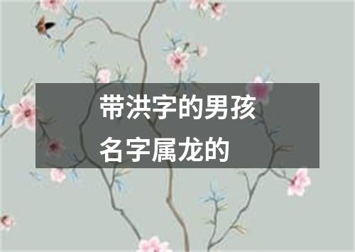 带洪字的男孩名字属龙的