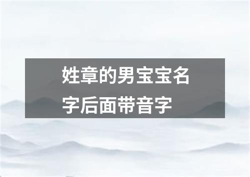 姓章的男宝宝名字后面带音字