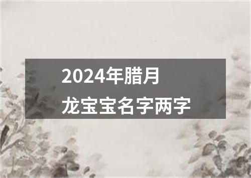 2024年腊月龙宝宝名字两字