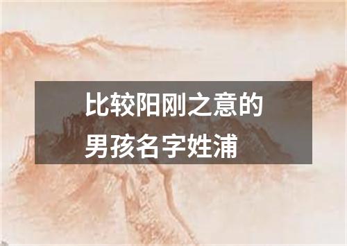 比较阳刚之意的男孩名字姓浦