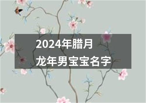 2024年腊月龙年男宝宝名字