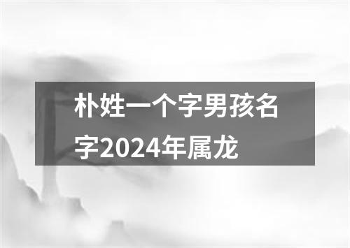 朴姓一个字男孩名字2024年属龙